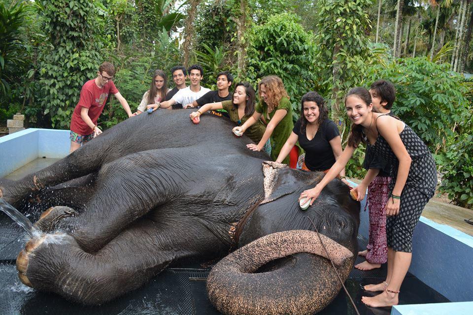 Green Leaf Home Stay Thekkady Extérieur photo