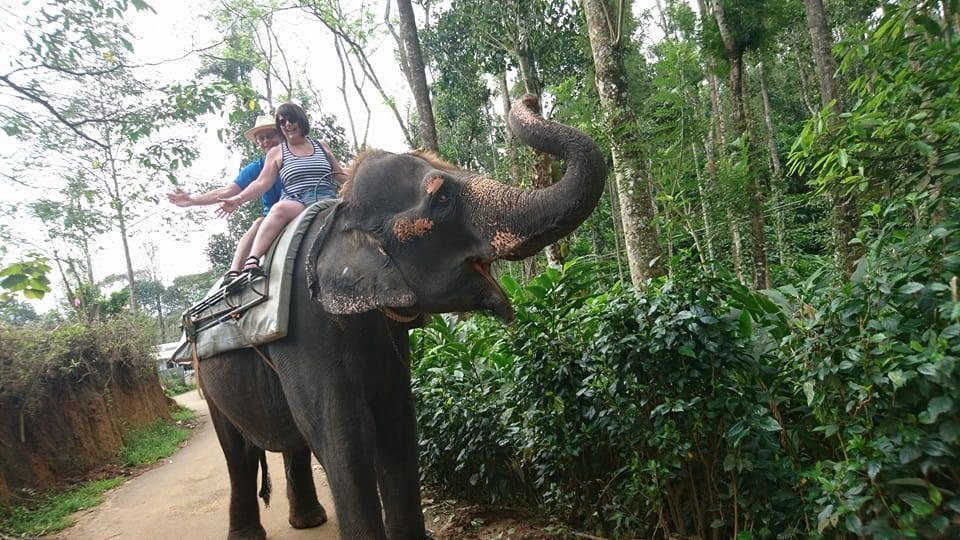 Green Leaf Home Stay Thekkady Extérieur photo
